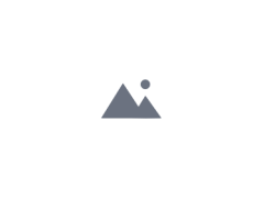 Ninja Climb