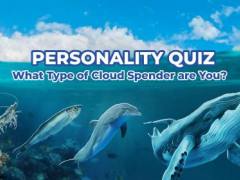 Personality Quiz: What Type of Cloud Spender Are You?