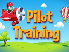 Pilot Training