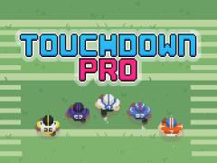 Touchdown Pro