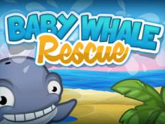 Baby Whale Rescue